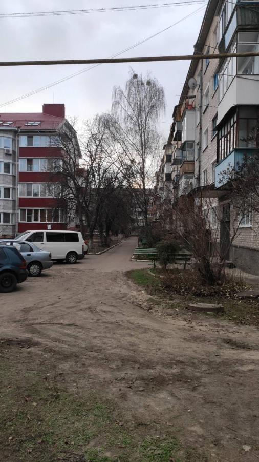 2-Х Комнатная Квартира Korosten Luaran gambar